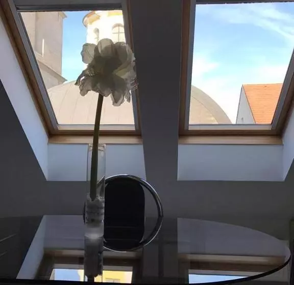 ペントハウススイート, Vacek Pod Věží