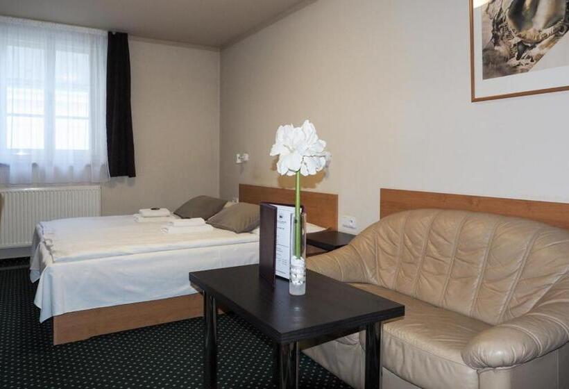 スタンダードルーム, Vacek Pod Věží