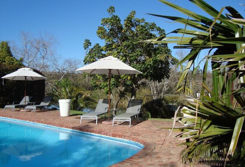 חדר קומפורט, Rothman Manor