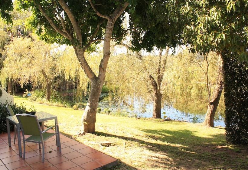 חדר דלוקס, Rothman Manor