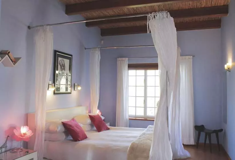 デラックスルーム, Rothman Manor