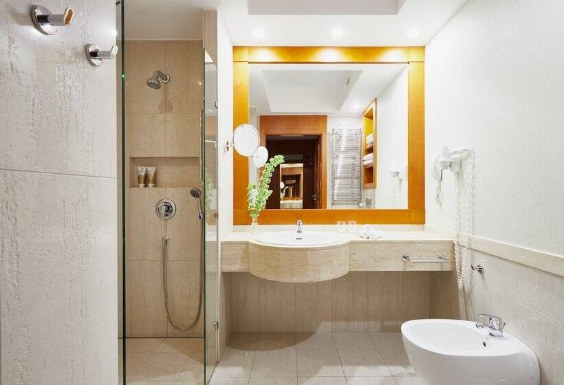 חדר סטנדרט, Spa Dr Irena Eris Wzgorza Dylewskie