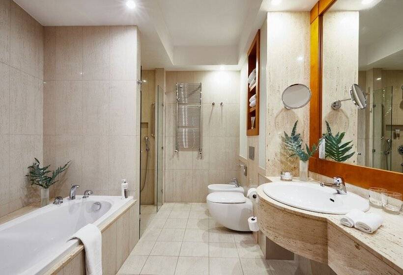 חדר סופריור, Spa Dr Irena Eris Wzgorza Dylewskie