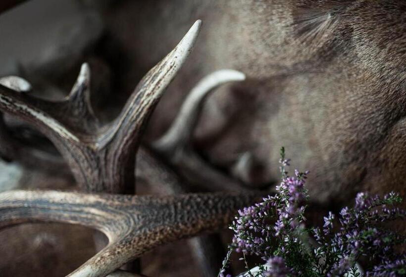 חדר סטנדרט, Stubai