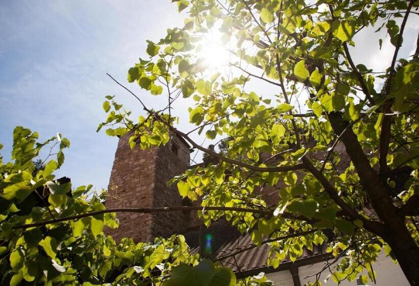 חדר סטנדרט, Gasthof Zum Goldenen Anker