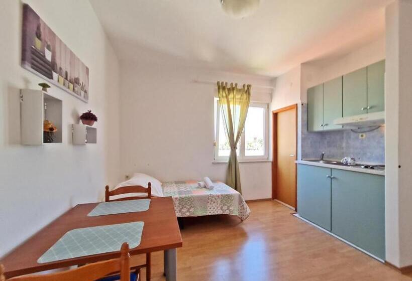 إستوديو قياسى, Rooms And Apartments Porat