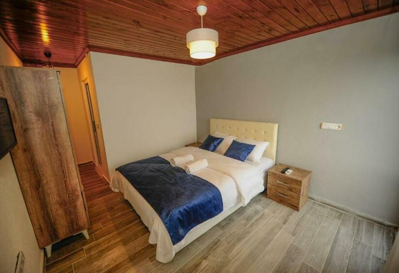 标准房带园景, Assos No9