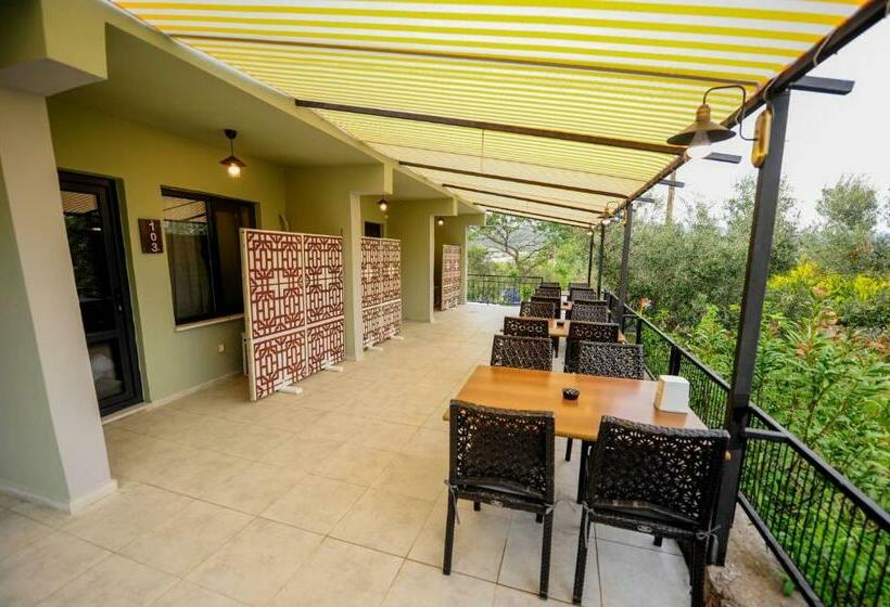 标准房带园景, Assos No9