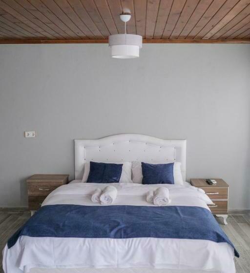 标准房带园景, Assos No9