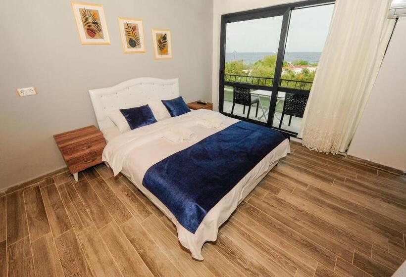 家庭海景房, Assos No9