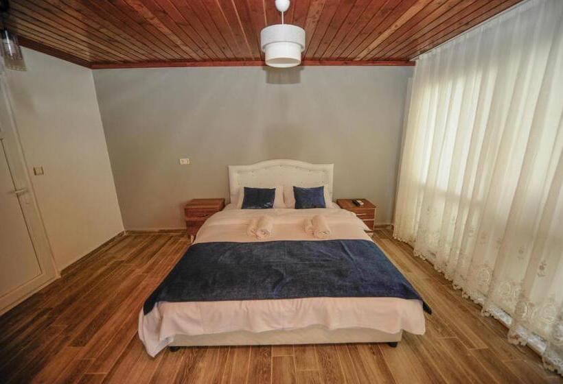 家庭海景房, Assos No9