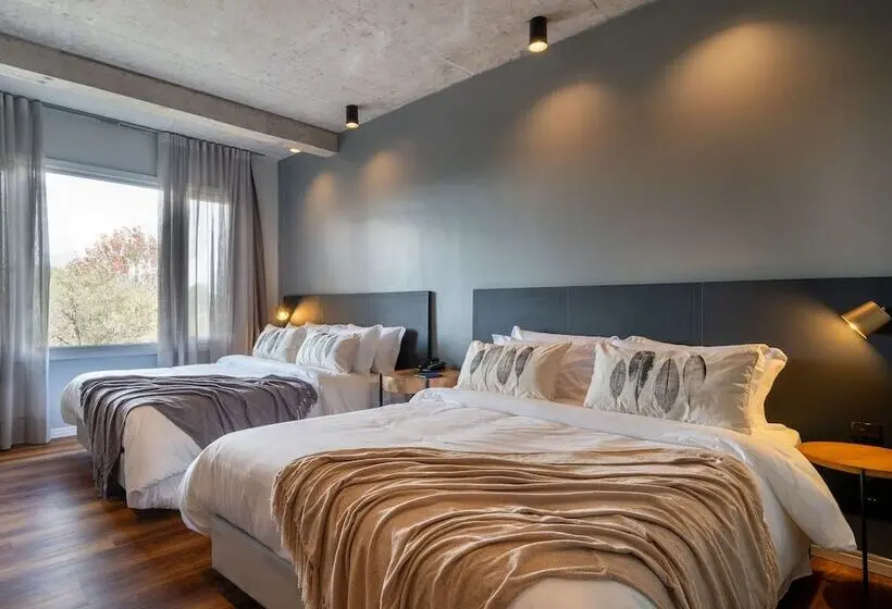 Perhehuone, Jangal Das Araucárias Swan Design Hotel Canela