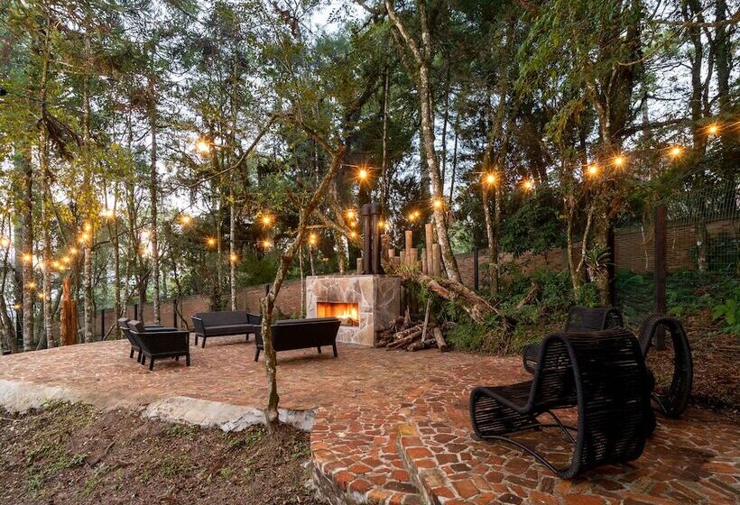 Номер Стандарт, Jangal Das Araucárias Swan Design Hotel Canela