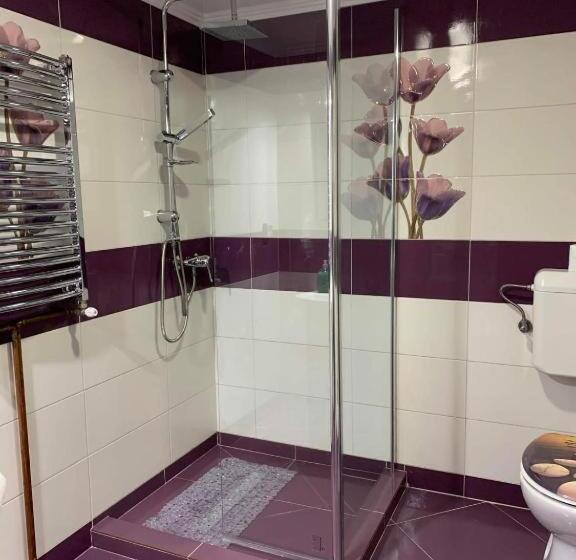 침실 2개 아파트, La Zinculescu