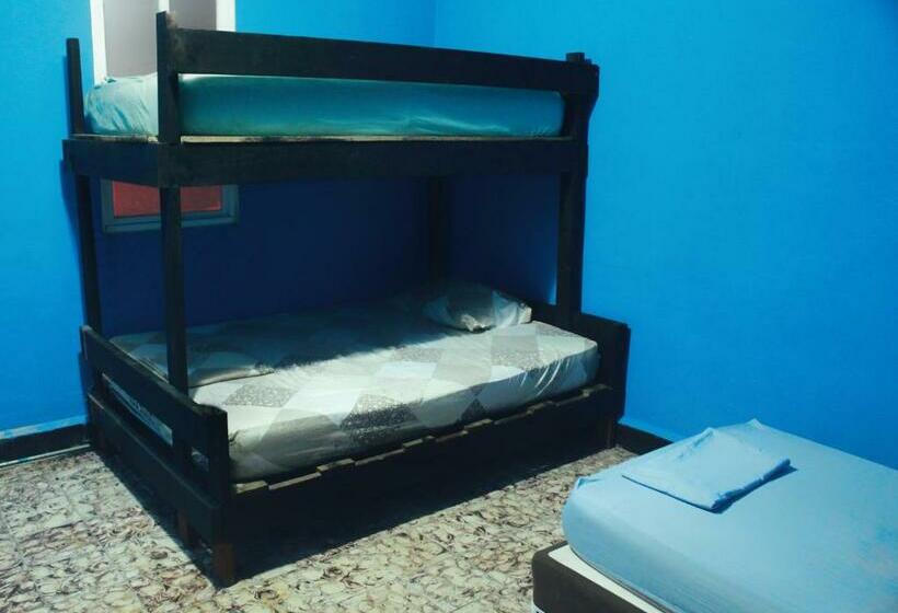 غرفة ديلوكس ثلاثية, Twin Fin Plaza