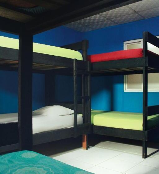 غرفة ديلوكس, Twin Fin Plaza