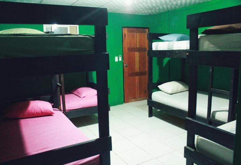 سرير فى غرفة مشتركه, Twin Fin Plaza