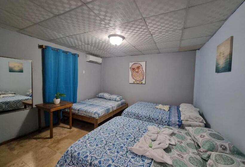 غرفة ديلوكس ثلاثية, Twin Fin Plaza