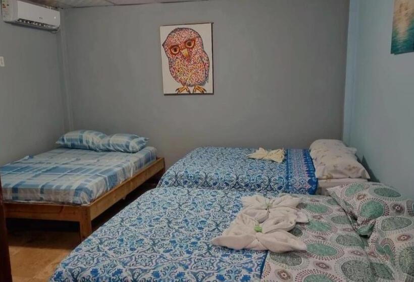 غرفة ديلوكس ثلاثية, Twin Fin Plaza