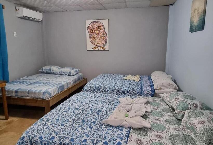 غرفة ديلوكس ثلاثية, Twin Fin Plaza