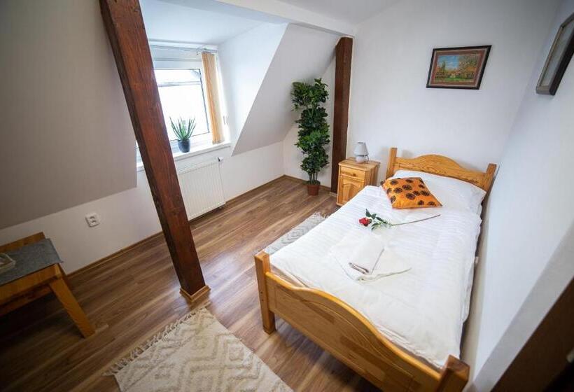 スタンダードシングルルーム, Penzión Palatín