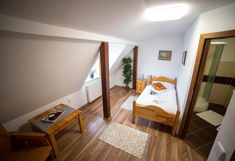 スタンダードシングルルーム, Penzión Palatín