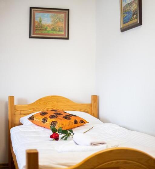 スタンダードシングルルーム, Penzión Palatín