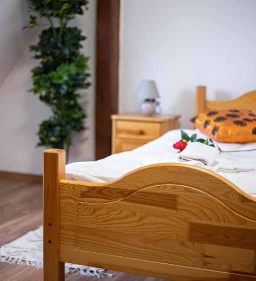 スタンダードシングルルーム, Penzión Palatín