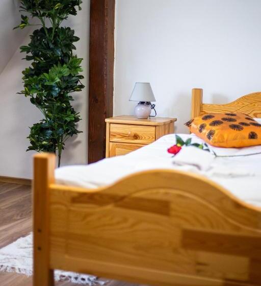 スタンダードシングルルーム, Penzión Palatín