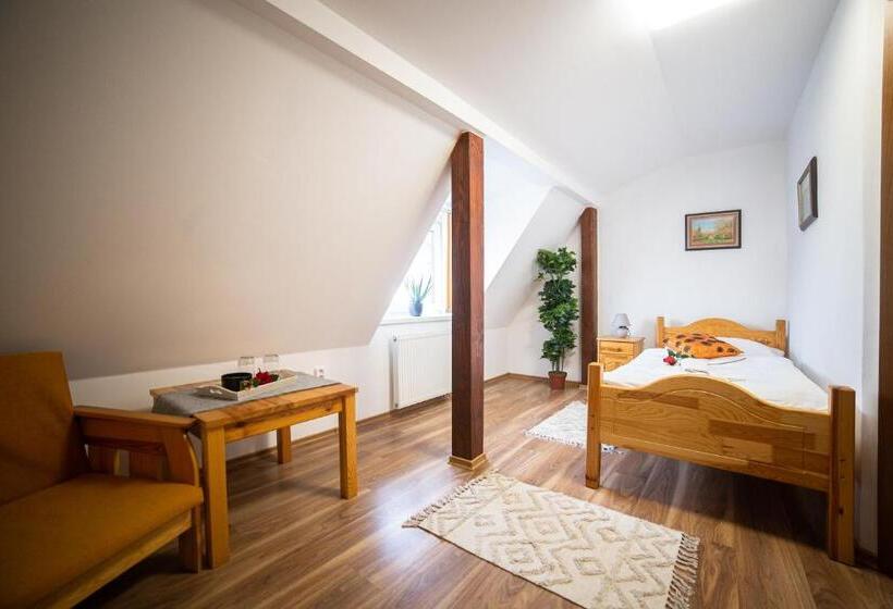 スタンダードシングルルーム, Penzión Palatín