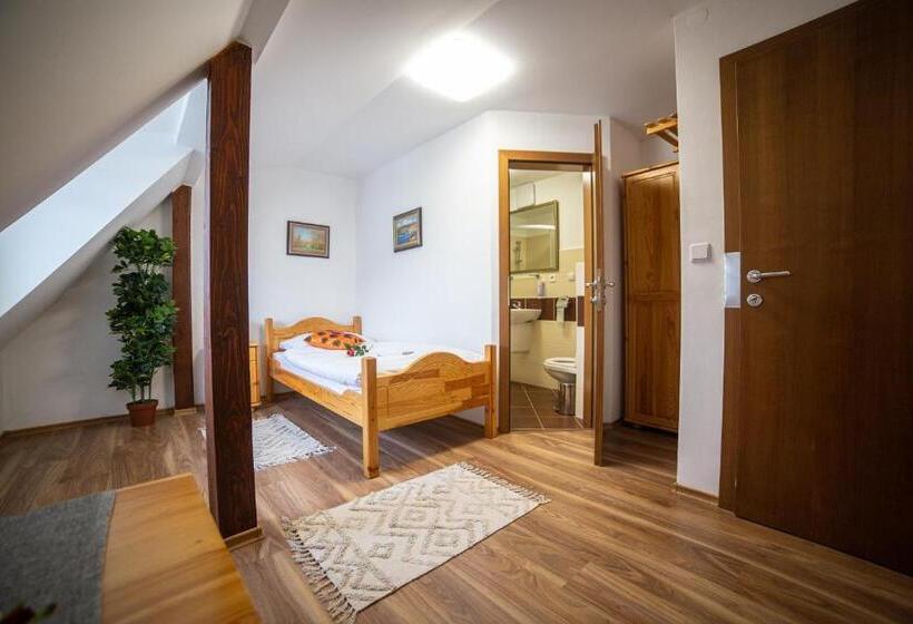 スタンダードシングルルーム, Penzión Palatín