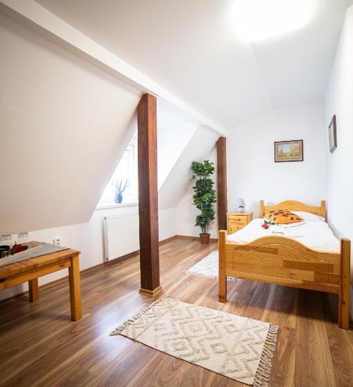 スタンダードシングルルーム, Penzión Palatín