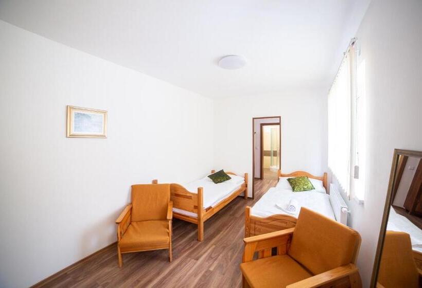 ２ベッドルームアパートメント, Penzión Palatín