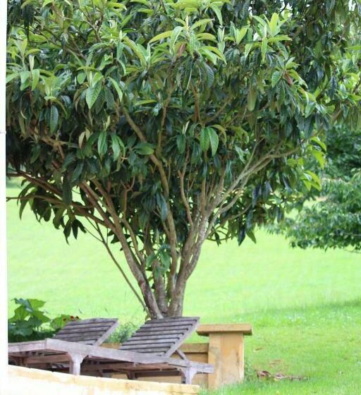 ２ベッドルームハウス, La Maison Thimadaise