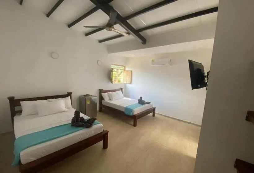 スタンダード4人部屋, Palmas Del Río
