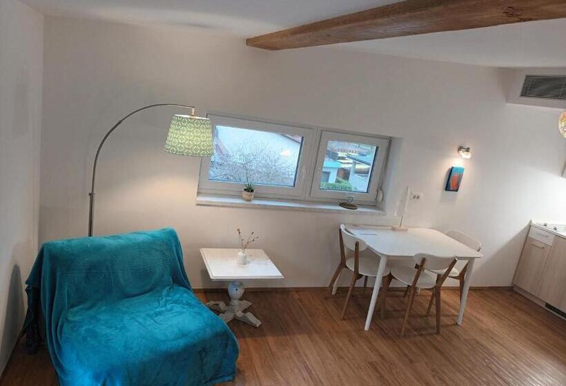 استودیو استاندارد با چشمانداز باغ, Accommodation Baron