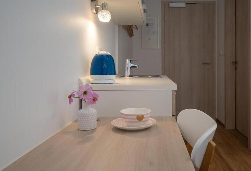 اتاق استاندارد, Accommodation Baron