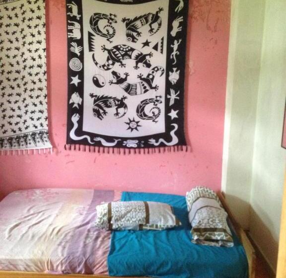 חדר סטנדרט יחיד, Apollo Hostel