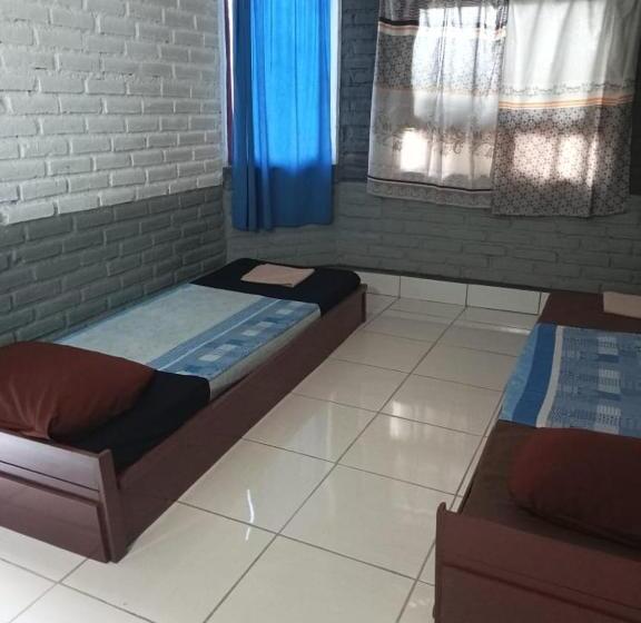 חדר סטנדרט, Apollo Hostel