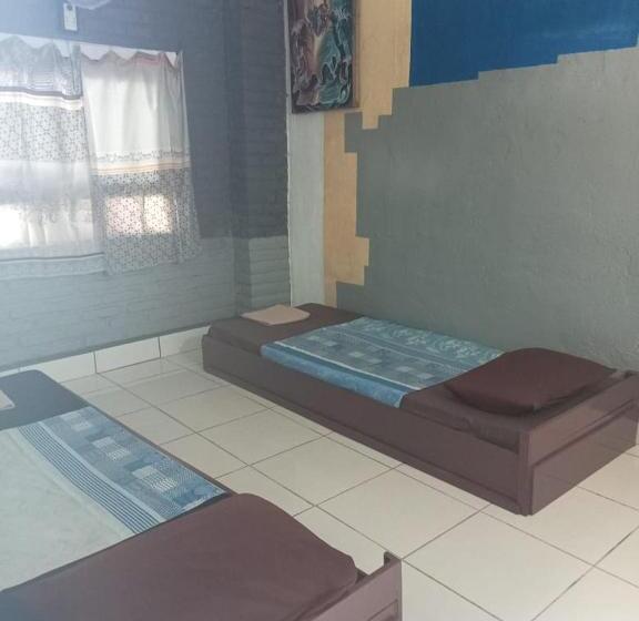 חדר סטנדרט, Apollo Hostel