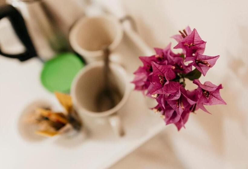 חדר סטנדרט נוף לגינה, Wonna Bay Vila Lodge Catembe