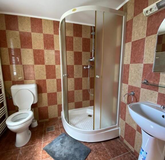 带大床的标准间, Pensiunea Martuca