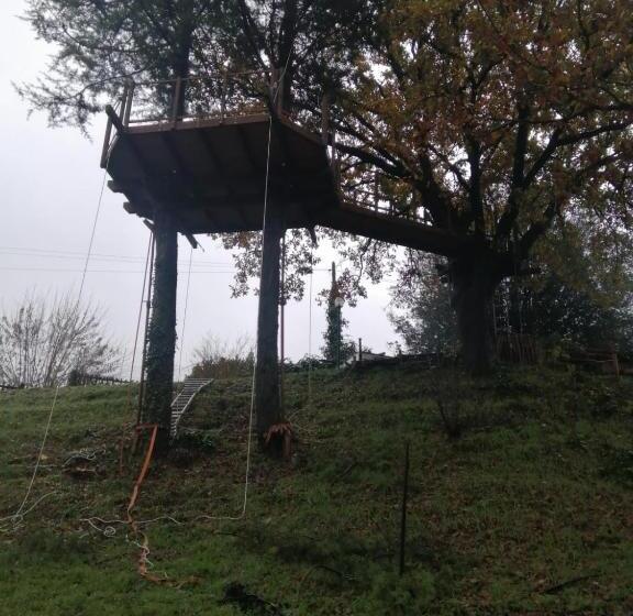 Апартаменты Superior 1 Спальня, B&b Colle Di Terria Country House