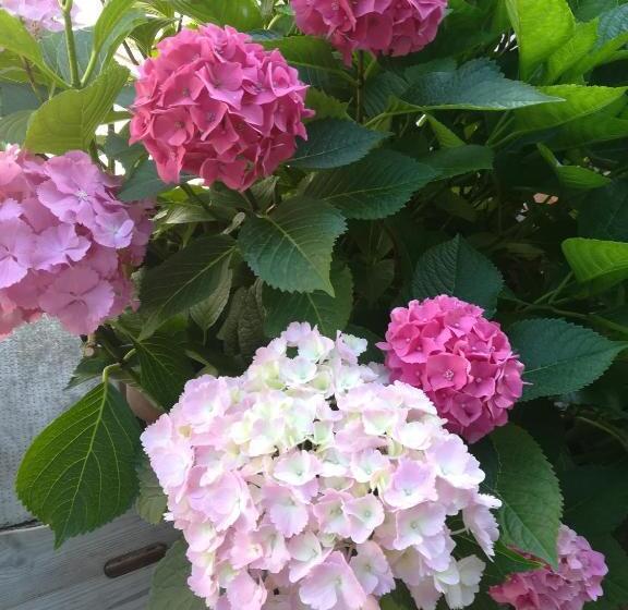 חדר סטנדרט, Il Cortile Della Nonna