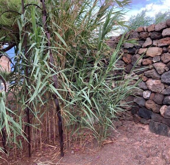 海景豪华三人间, Dammuso Levante