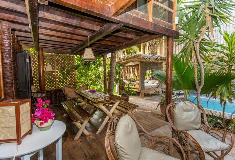 스탠다드 싱글 룸 공동욕실, La Maison Eco House & Yoga