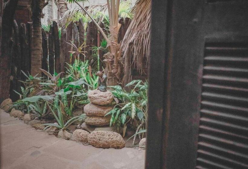 스탠다드 싱글 룸 공동욕실, La Maison Eco House & Yoga