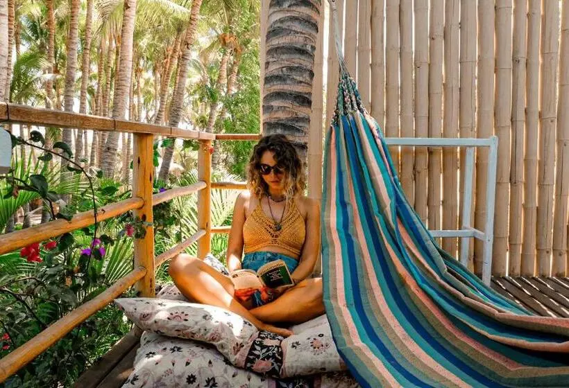 テラス付きスタンダードルーム, La Maison Eco House & Yoga