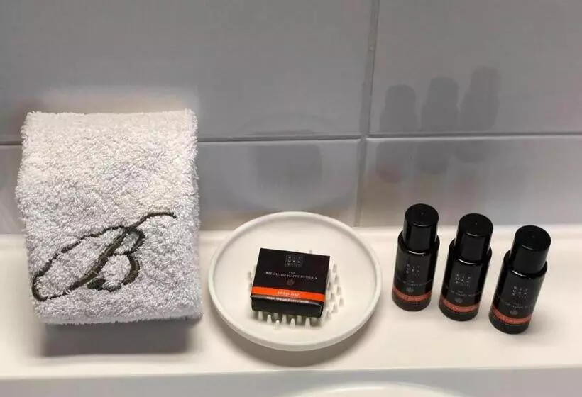 デラックスルーム, B&b Baron’s House Neerijseleuven