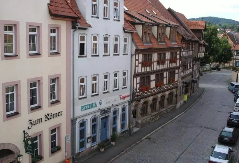 スタンダードシングルルーム, Grünes Tor